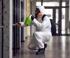 Best Commercial Mold Inspection  in Perry, FL